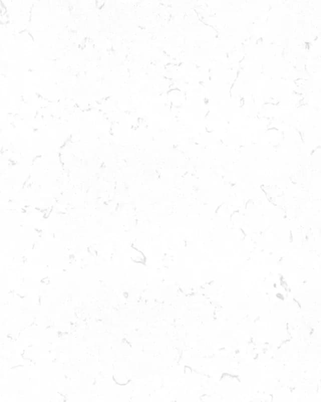 Verona Carrara — Alito engineered quartz