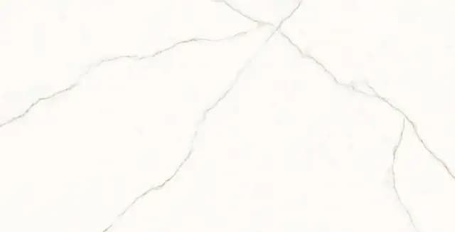 DR PGVT Calcutta Gold Veins Marble