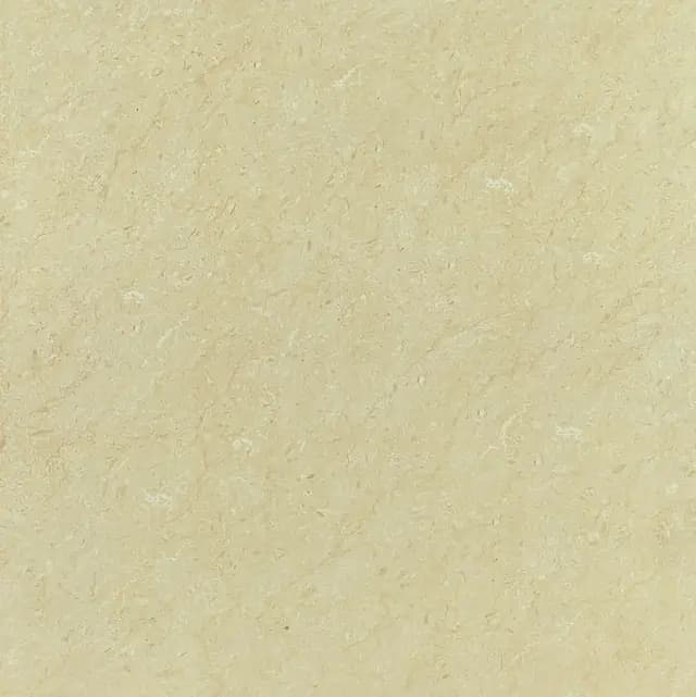 GFT BDM Franjo Ivory FT