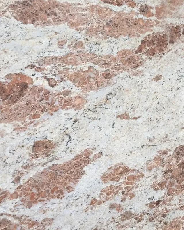 Bahama Ivory