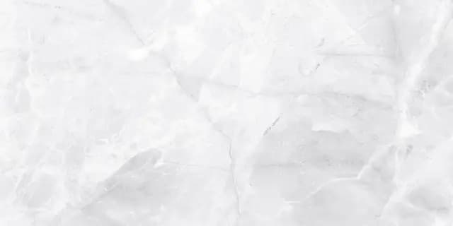 SBG Armani Marble Grey LT — Orientbell tile