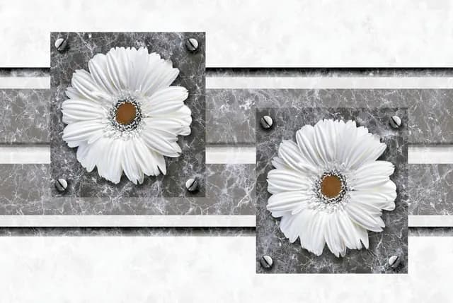 SHG Daisy Emperador HL