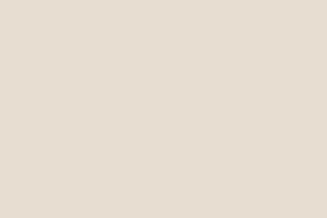 SBG Beige LT Grainy — Orientbell tile