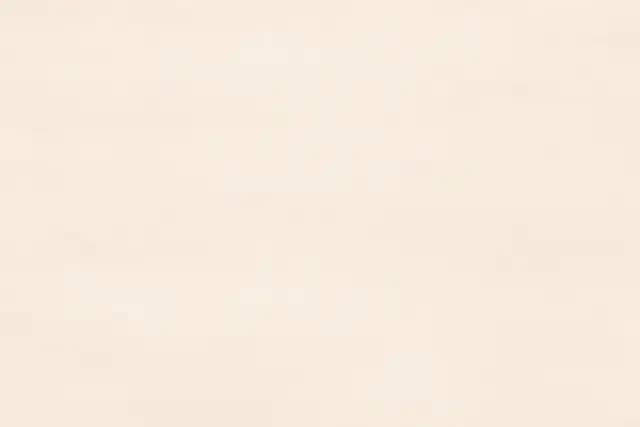 SBG Spary Beige LT — Orientbell tile