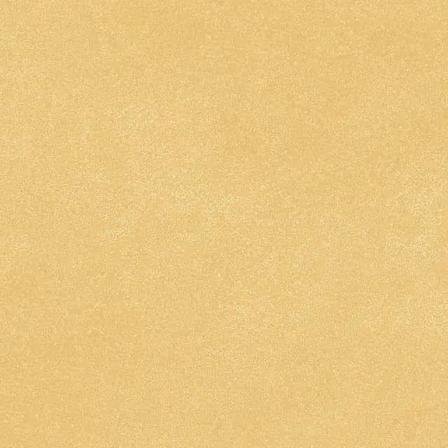SFM Sand Sandune