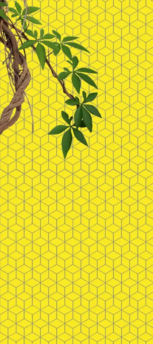 Matte Lemon Cube