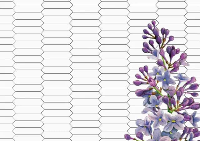 Mini Picket Matte White