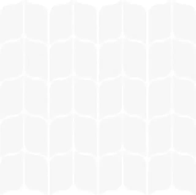 White Gloss Sparrow