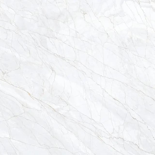 DR PGVT Spider Marble Grey LT — Orientbell tile