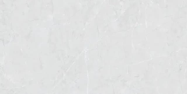 DR PGVT Venezia Classic Silver