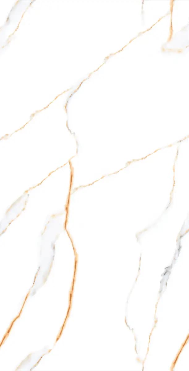 DR Gloss Endless Carara Line — Orientbell tile
