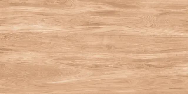 DGVT Desert Wood Beige