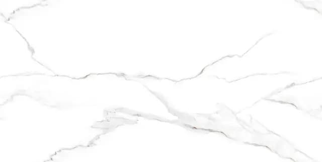 PGVT Endless Atlantic Super White — Orientbell tile