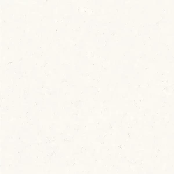 Prozzo White