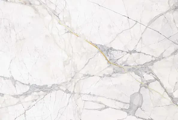 Cosmos White — Simpolo tile