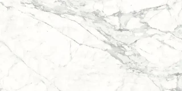 Statuario Wolf — Simpolo tile