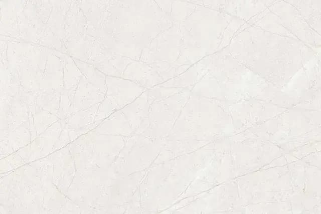 Spider Crema — Simpolo tile