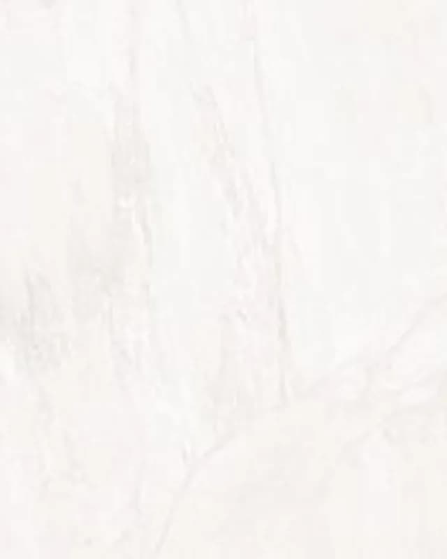 Passero White Polished — Varmora tile